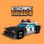 Escape Raid game cover image